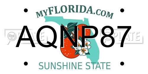 AQNP87 Florida License Plate
