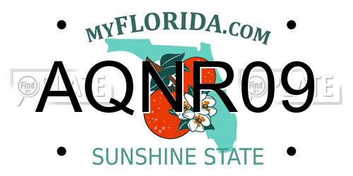 AQNR09 Florida License Plate