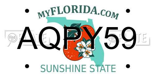 AQPY59 Florida License Plate