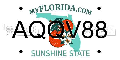 AQQV88 Florida License Plate