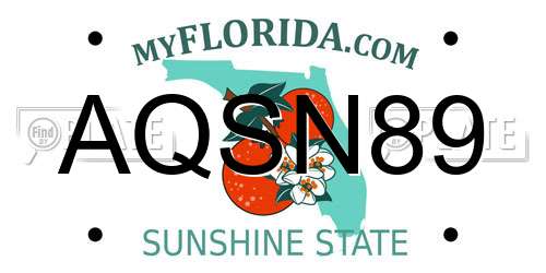 AQSN89 Florida License Plate
