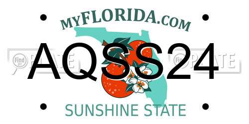 AQSS24 Florida License Plate