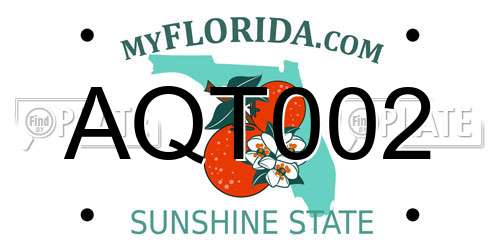 AQT002 Florida License Plate
