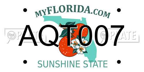 AQT007 Florida License Plate