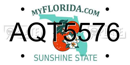 AQT5576 Florida License Plate