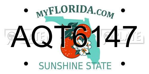 AQT6147 Florida License Plate