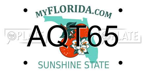 AQT65 Florida License Plate
