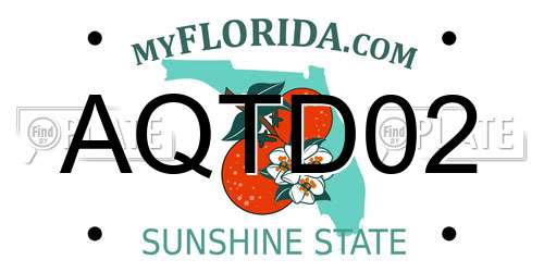 AQTD02 Florida License Plate