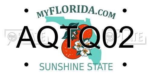 AQTQ02 Florida License Plate