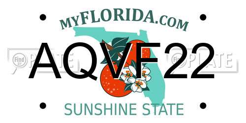AQVF22 Florida License Plate