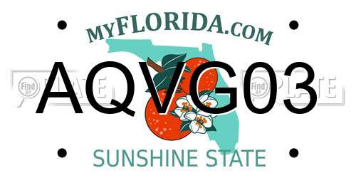 AQVG03 Florida License Plate