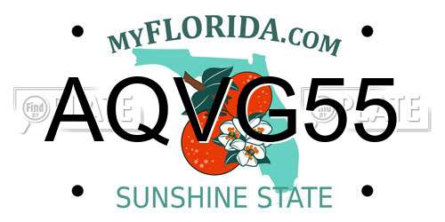 AQVG55 Florida License Plate