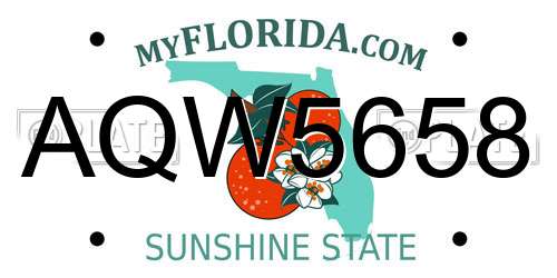 AQW5658 Florida License Plate