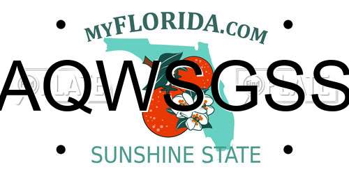 AQWSGSS Florida License Plate