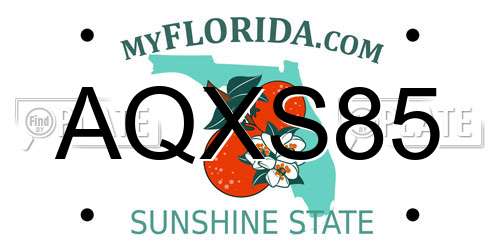AQXS85 Florida License Plate