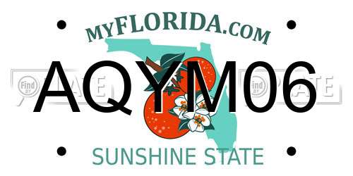 AQYM06 Florida License Plate