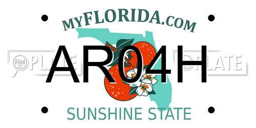 AR04H Florida License Plate