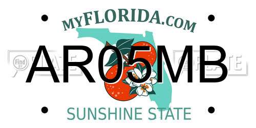 AR05MB Florida License Plate