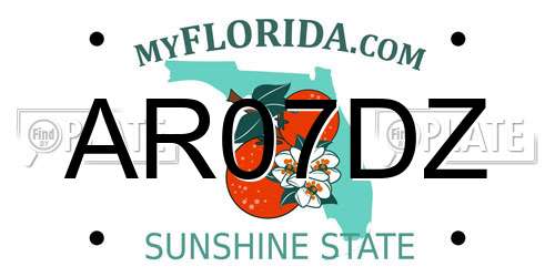 AR07DZ Florida License Plate