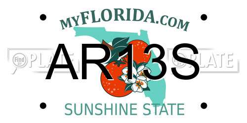 AR13S Florida License Plate