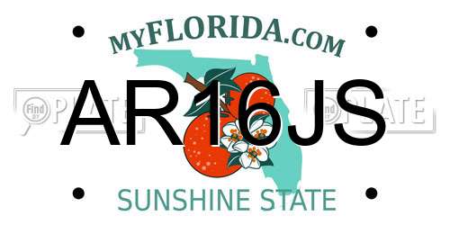 AR16JS Florida License Plate