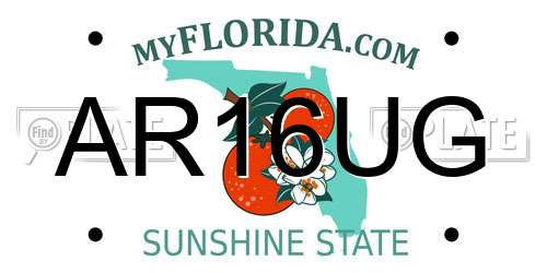 AR16UG Florida License Plate