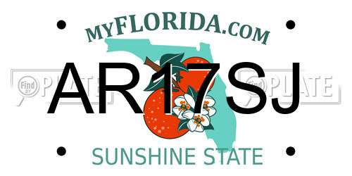 AR17SJ Florida License Plate