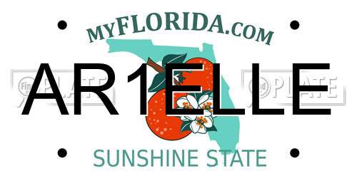 AR1ELLE Florida License Plate