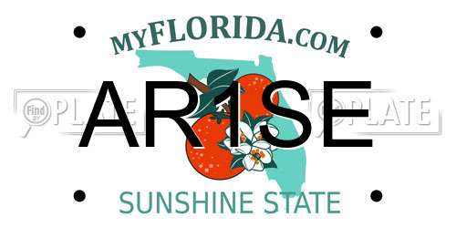 AR1SE Florida License Plate
