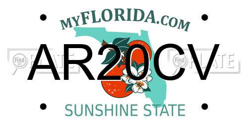 AR20CV Florida License Plate