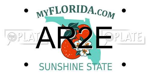 AR2E Florida License Plate