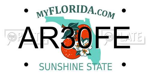 AR30FE Florida License Plate