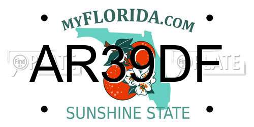 AR39DF Florida License Plate