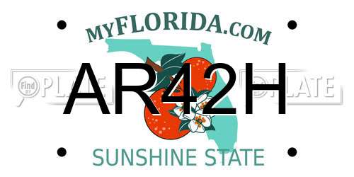 AR42H Florida License Plate