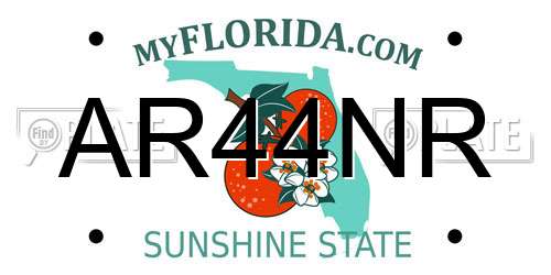 AR44NR Florida License Plate