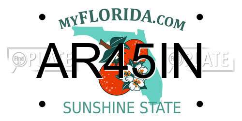AR45IN Florida License Plate