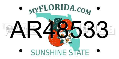 AR48533 Florida License Plate