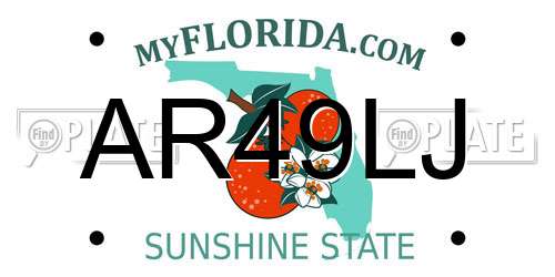 AR49LJ Florida License Plate