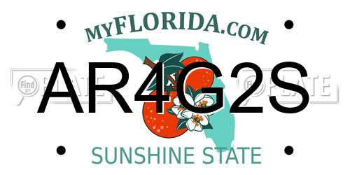 AR4G2S Florida License Plate