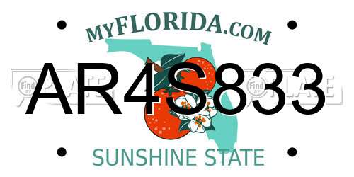 AR4S833 Florida License Plate