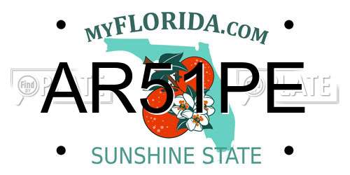 AR51PE Florida License Plate
