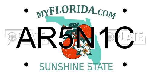 AR5N1C Florida License Plate