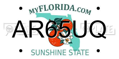 AR65UQ Florida License Plate