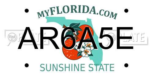 AR6A5E Florida License Plate