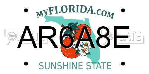 AR6A8E Florida License Plate