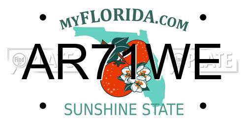 AR71WE Florida License Plate