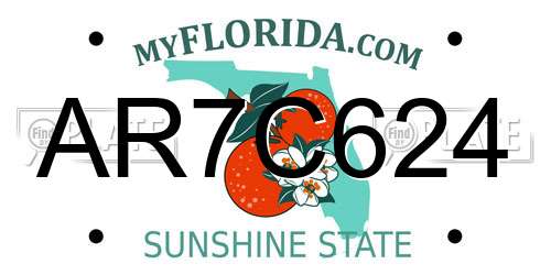 AR7C624 Florida License Plate