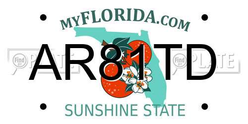AR81TD Florida License Plate