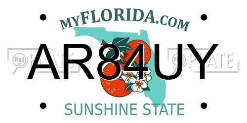 AR84UY Florida License Plate