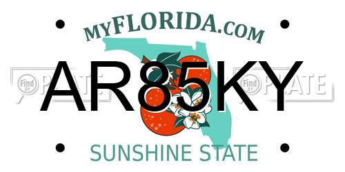 AR85KY Florida License Plate